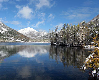 Okhotsk–Manchurian taiga Ecoregion in the Russian Far East