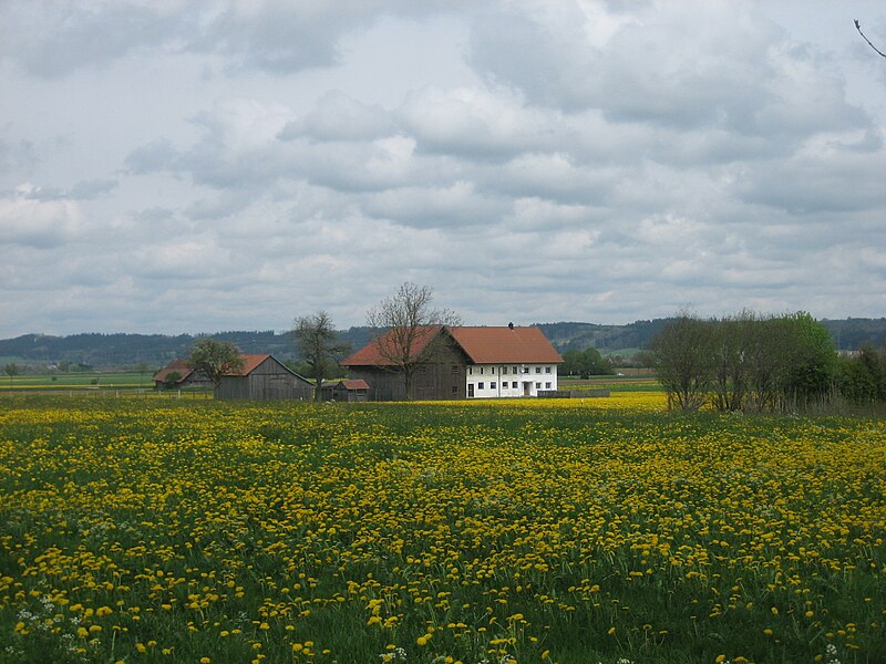 File:Kreuzbühl (Bad Grönenbach).jpg