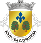 Coat of arms of Souto de Carpalhosa