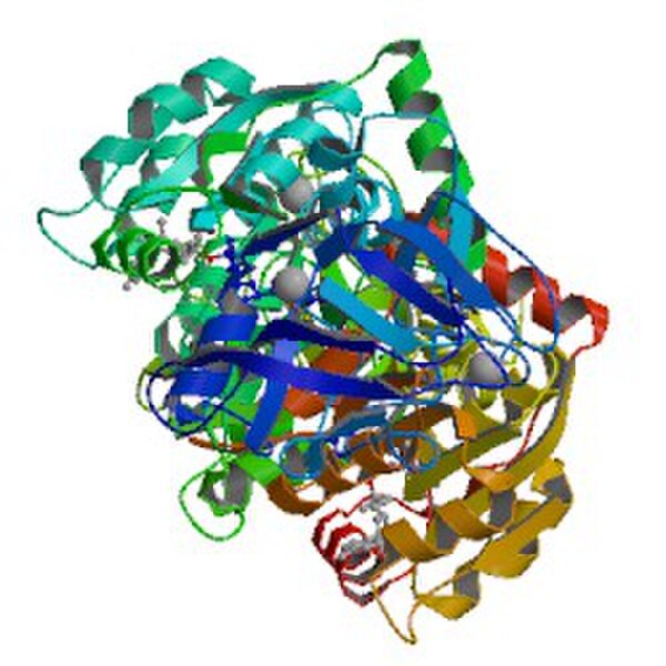 Horse LADH (Liver Alcohol Dehydrogenase)