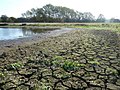 Thumbnail for File:Lake side still dry - geograph.org.uk - 2665612.jpg