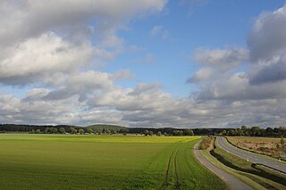 North Brandenburg Plateaux and Upland Natural region in Germany