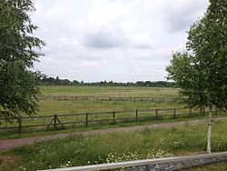 Blick vom Landschaftspark Rudow-Altglienicke Richtung Rudow