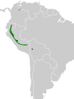 Distribución geográfica de la lanisoma andina.