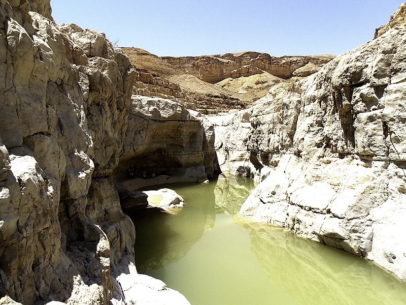 File:Large Water Hole, Zafit Creek, Araba Valley, Israel גב מים גדול, נחל צפית - panoramio.jpg