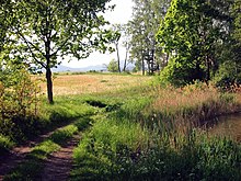 Parklandschaft, unterhalb Duty Kamen