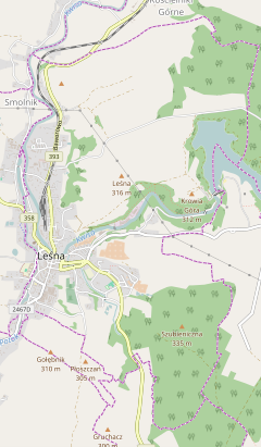 Mapa lokalizacyjna Leśnej