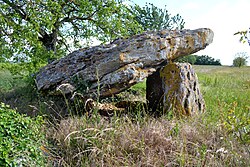 Illustrasjonsbilde av artikkelen Dolmen de la Bie