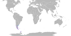 Leucocarbo atriceps map.svg