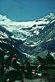 Alpe Grüm, Morteratsch-Gletscher
