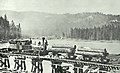 Logging train at Hume Lake.
