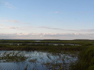 <span class="mw-page-title-main">Long Point Provincial Park</span> Provincial park near Port Rowan, Ontario