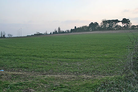 Longslade in the distance