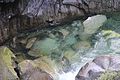 Lower Falls Trail-Gold Creek, Golden Ears Provincial Park 162.JPG