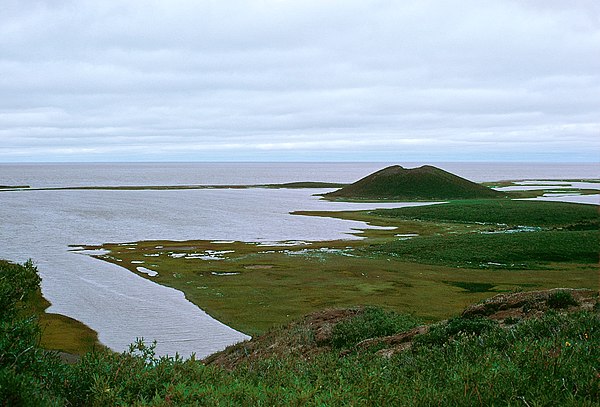 View from top of a pingo towards another, within a partly drained lake, the Arctic Ocean in the background (near Tuktoyaktuk). July 20, 1975.