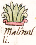 Miniatura para Malinalli (nombre)