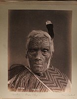 Maori chief, Anehana, poses against a plain background. He has a thin white beard, short, white hair decorated with a feather