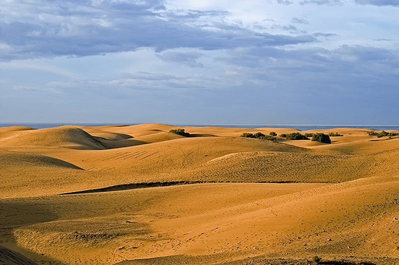 File:Maspalomas Duenen 1.jpg