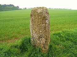 Illustrativt billede af artiklen Menhir des Planches