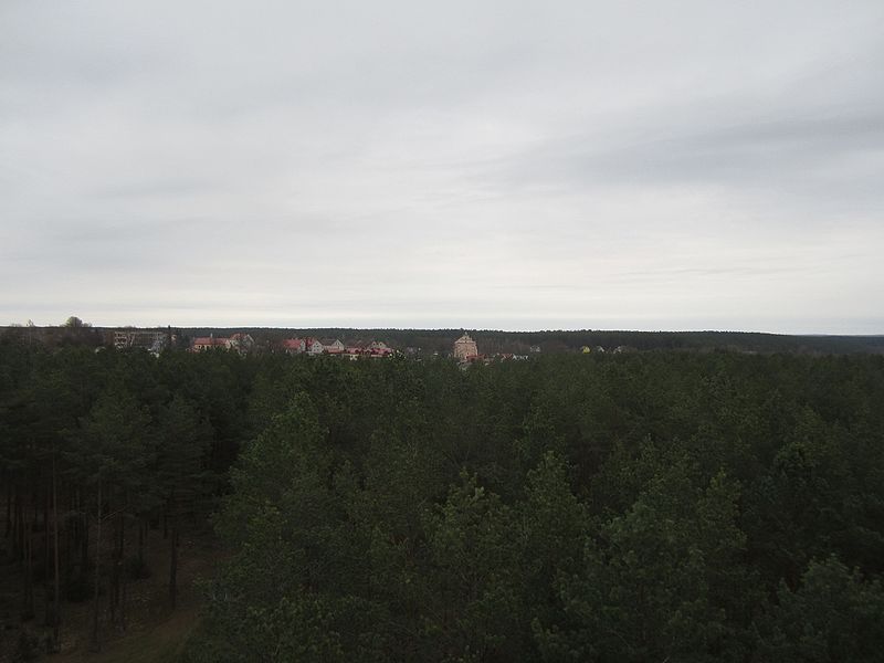 File:Merkinė from Merkinė Observation Tower, 2016.JPG