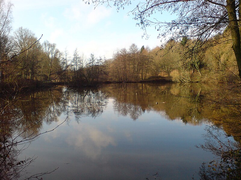 File:Mittlerer Fischzuchtteich Jägersburg (Homburg Saar).JPG