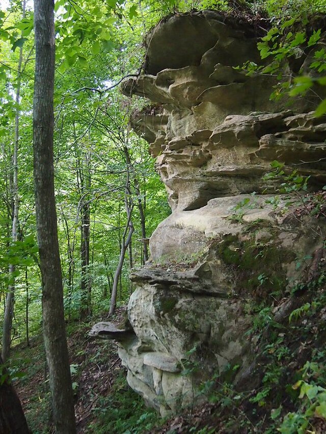 Wildcat Mountain State Park - Wikipedia