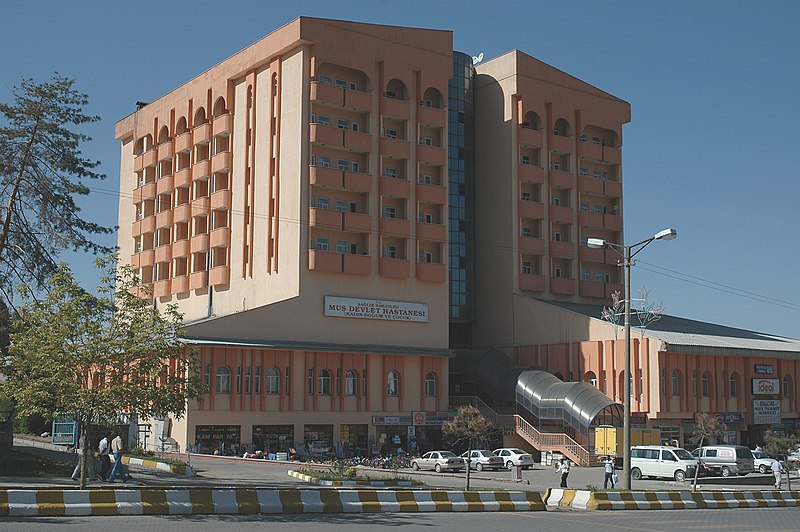 File:Mush Hospital 1230.jpg