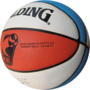 Miniatuur voor North European Basketball League