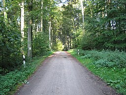 Aplerbecker Wald Dortmund