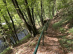 Wanderweg am Fuß des Steilhanges oberhalb der Ennepe