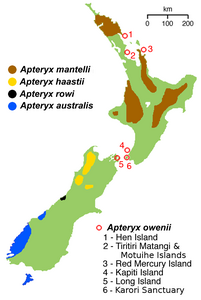 Apteryx: Descrizioni, Biologia, Distribuzione e habitat