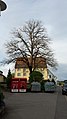 image=https://commons.wikimedia.org/wiki/File:Naturdenkmal_im_Altdorf_in_Engen_s%C3%BCdlich_des_(ehem.)_Gasthaus_zu_den_3_Kronen.jpg