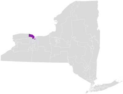 District 56 du Sénat de l'État de New York (2012) .png