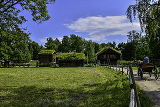 <span class="mw-page-title-main">Hallingdal Museum</span> Museum in Norway