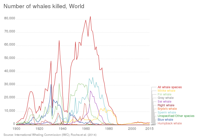 File:Number of whales killed, OWID.svg
