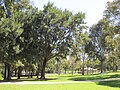 James McCusker Park, Iluka.