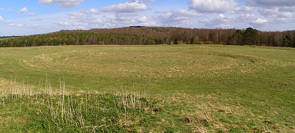 Disc barrow on Oakley Down, Dorset Oakley disc barrow panorama.jpg