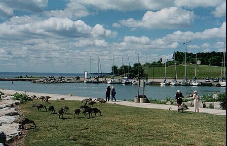 File:Oakville lake ontario.jpg