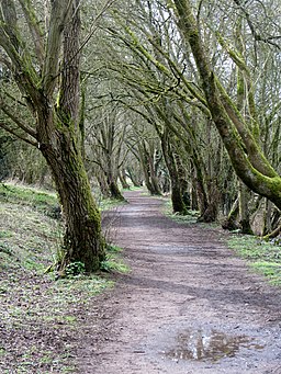 Old railway line out of Tetbury - March 2012 - panoramio (1)