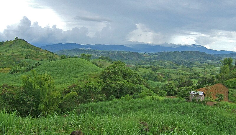 File:On the Road to Candoni, Negros.jpg