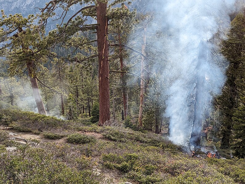 File:Origin of Pika Fire in Yosemite June 28.jpg