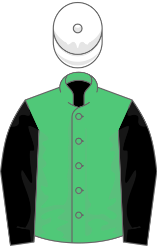 <span class="mw-page-title-main">2006 Grand National</span>
