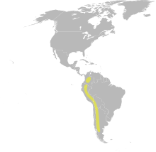 Oxyura ferruginea Distribution.svg