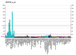 PBB GE MED6 207079 s ב fs.png