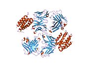 1lk3​: Dizajnirani ljudski interleukin 10 monomer kompleksiran sa 9D7 FAB fragmentom