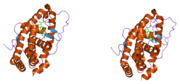 PDB 1y9r EBI.png