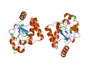 2ogb: ساختار کریستالی دامنه C ترمینال Nrdp1 موش