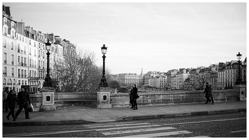 File:Panorama Pont Neuf (31789986654).jpg