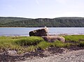 Image d'une mouette prise au Parc national du Bic au Québec