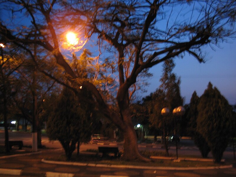 File:Park in Paulínia, São Paulo, Brasil.jpg